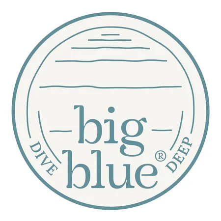Studio Big Blue logo