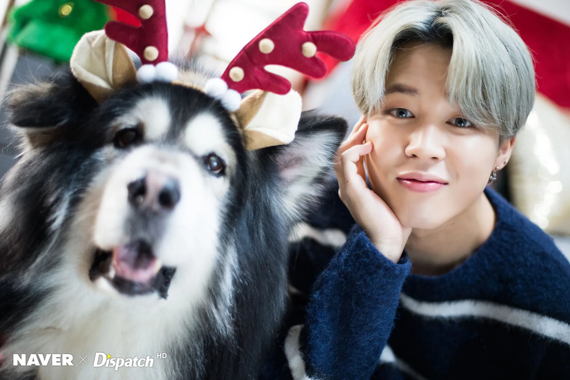 December Bts Jimin Christmas Photoshoot By Naver X Dispatch