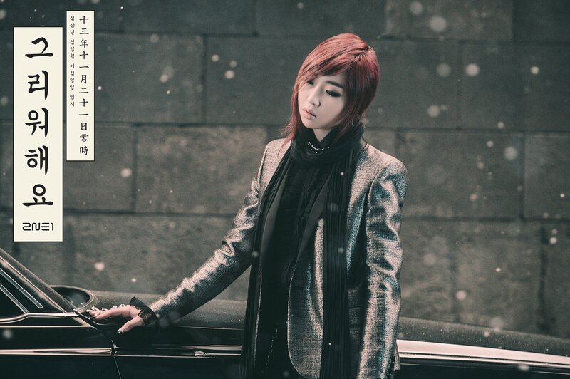 2NE1 'Missing You' concept photos documents 9