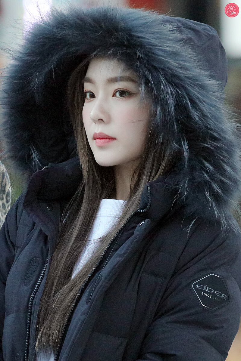 181214 Red Velvet Irene documents 6