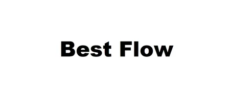 Best Flow logo