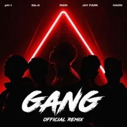 GANG (Official Remix)