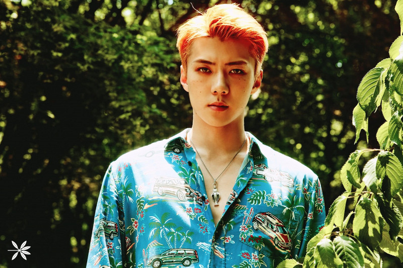 EXO "The War" Concept Teaser Images documents 21