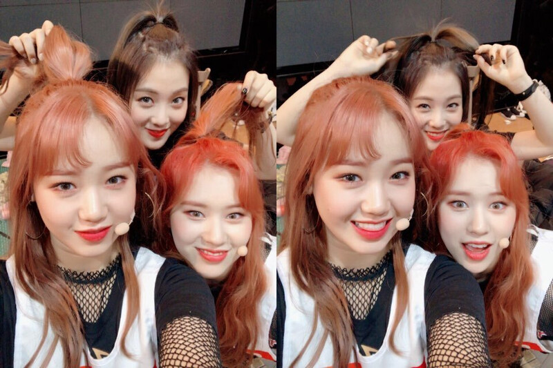 180222 Weki Meki Twitter update documents 1