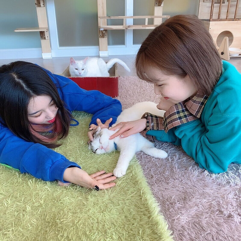 240409 WOOAH SORA sns update with LUCY documents 3