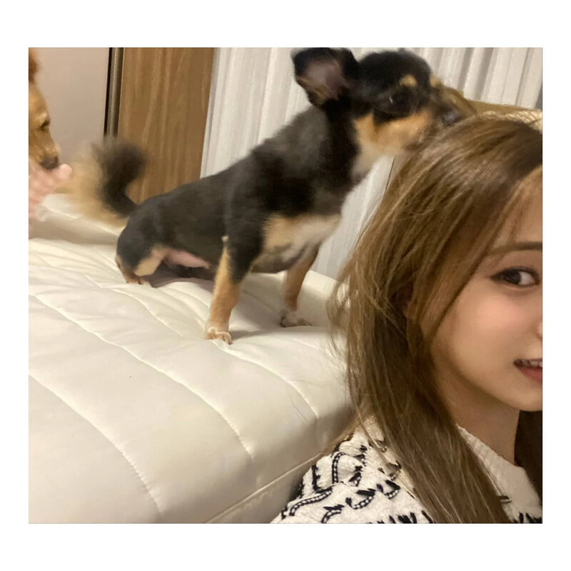 210330 TWICE Instagram Update - Tzuyu documents 3