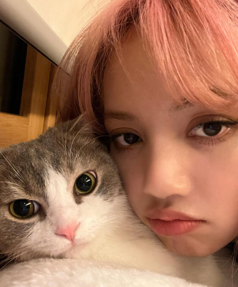 220209 lalala-lfamily Instagram Update with LISA documents 1