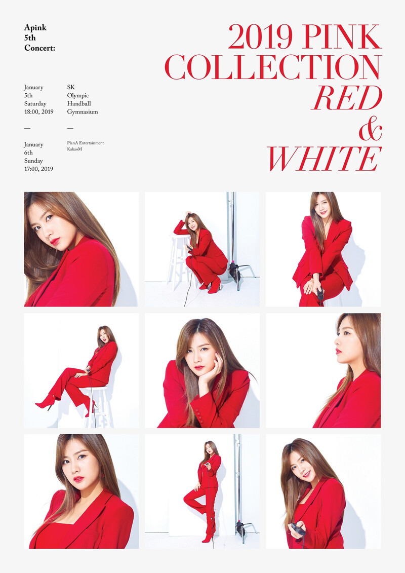 APINK 5th Concert - 2019 PINK COLLECTION : RED & WHITE - Posters & Behind documents 7