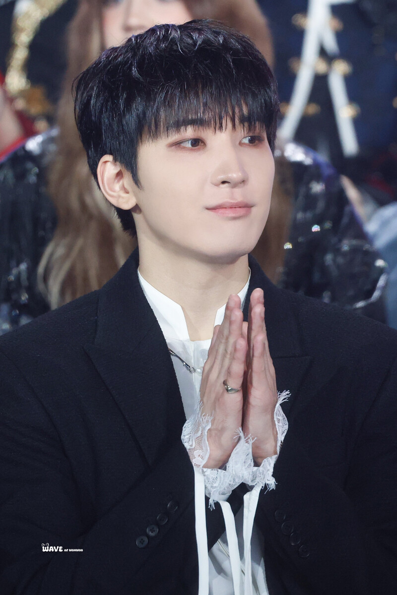 250105 SEVENTEEN Wonwoo at Golden Disc Awards 2025 documents 2