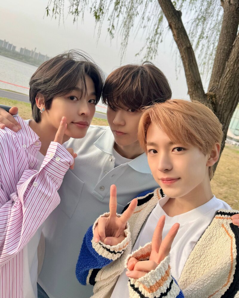240512 NCT Wish SNS update documents 6