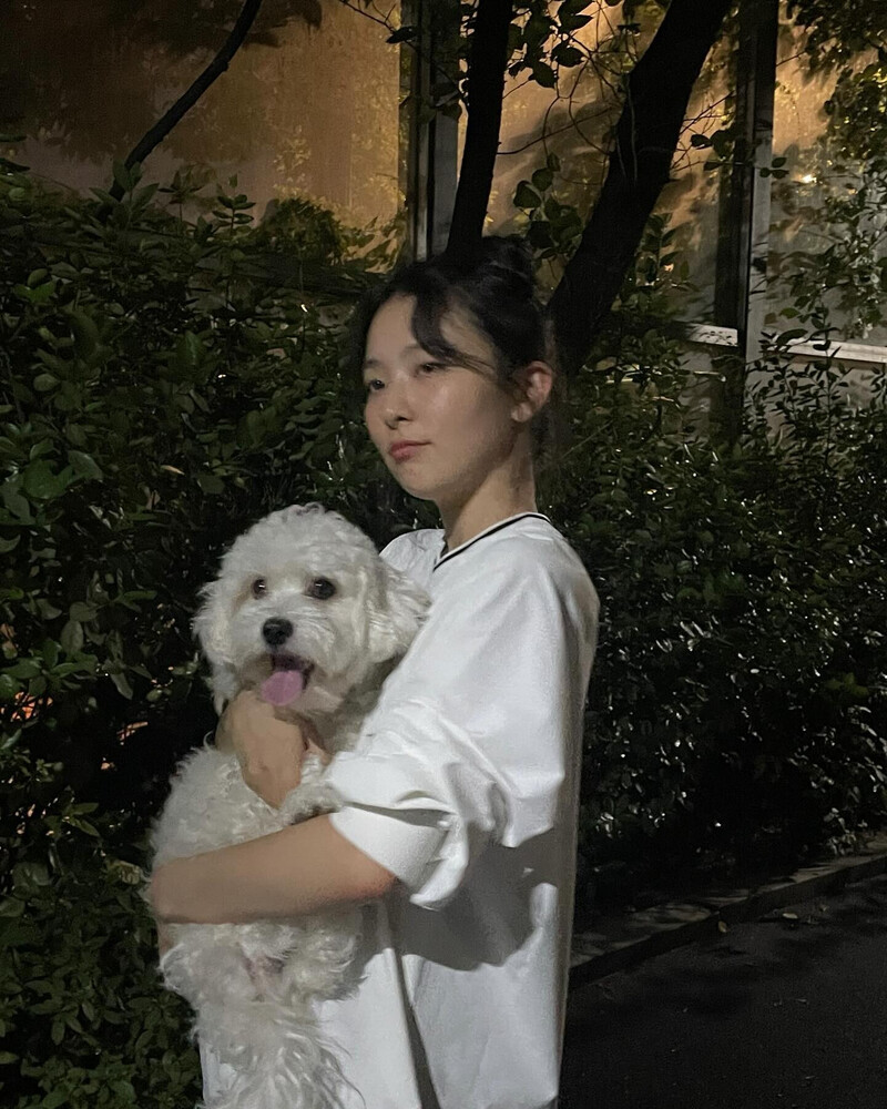 240827 - SEULGI Instagram Update documents 6