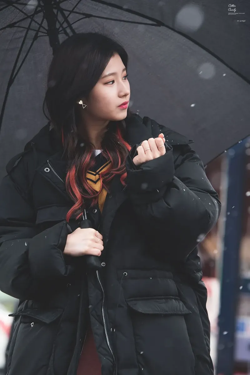 Sana731.jpg