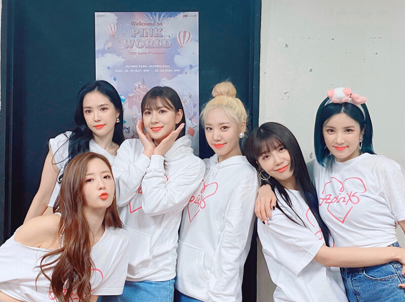 200201 APINK sns update - 'Welcome to PINK WORLD' concert Day 1 documents 2