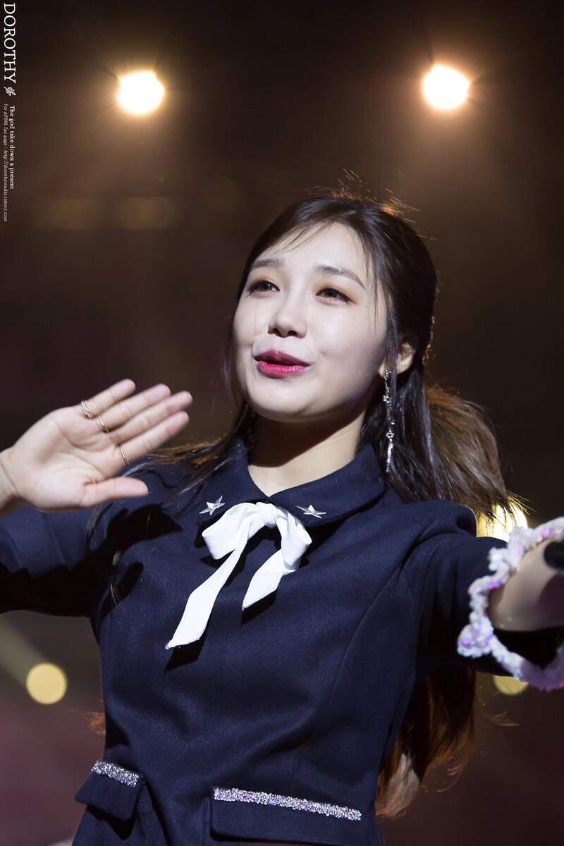 161218 Apink EUNJI - '2016 PINK PARTY' Concert Day 2 documents 11