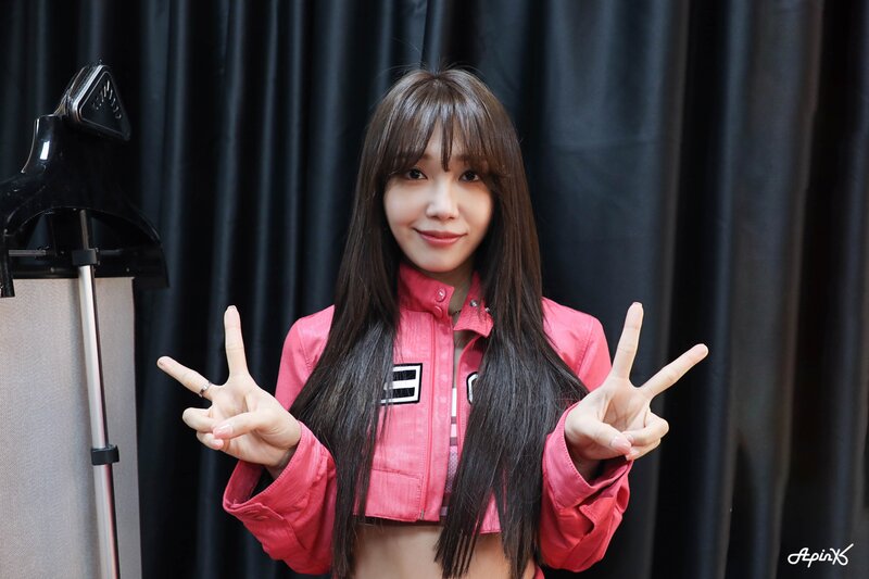 230502 IST Naver - Apink - Fanconert 'Pink Drive' in Seoul documents 6