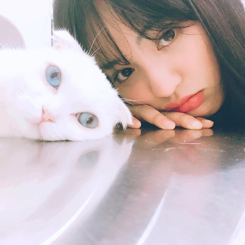 180702 - SITALA Instagram Update documents 1