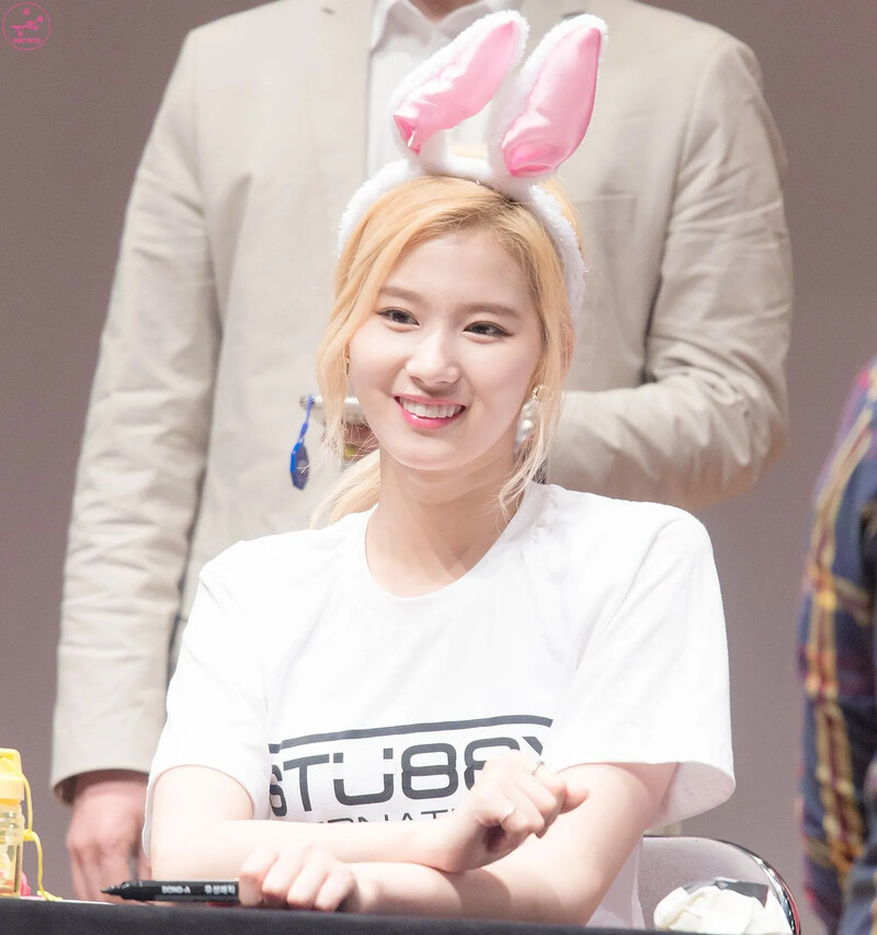 Sana491.jpg