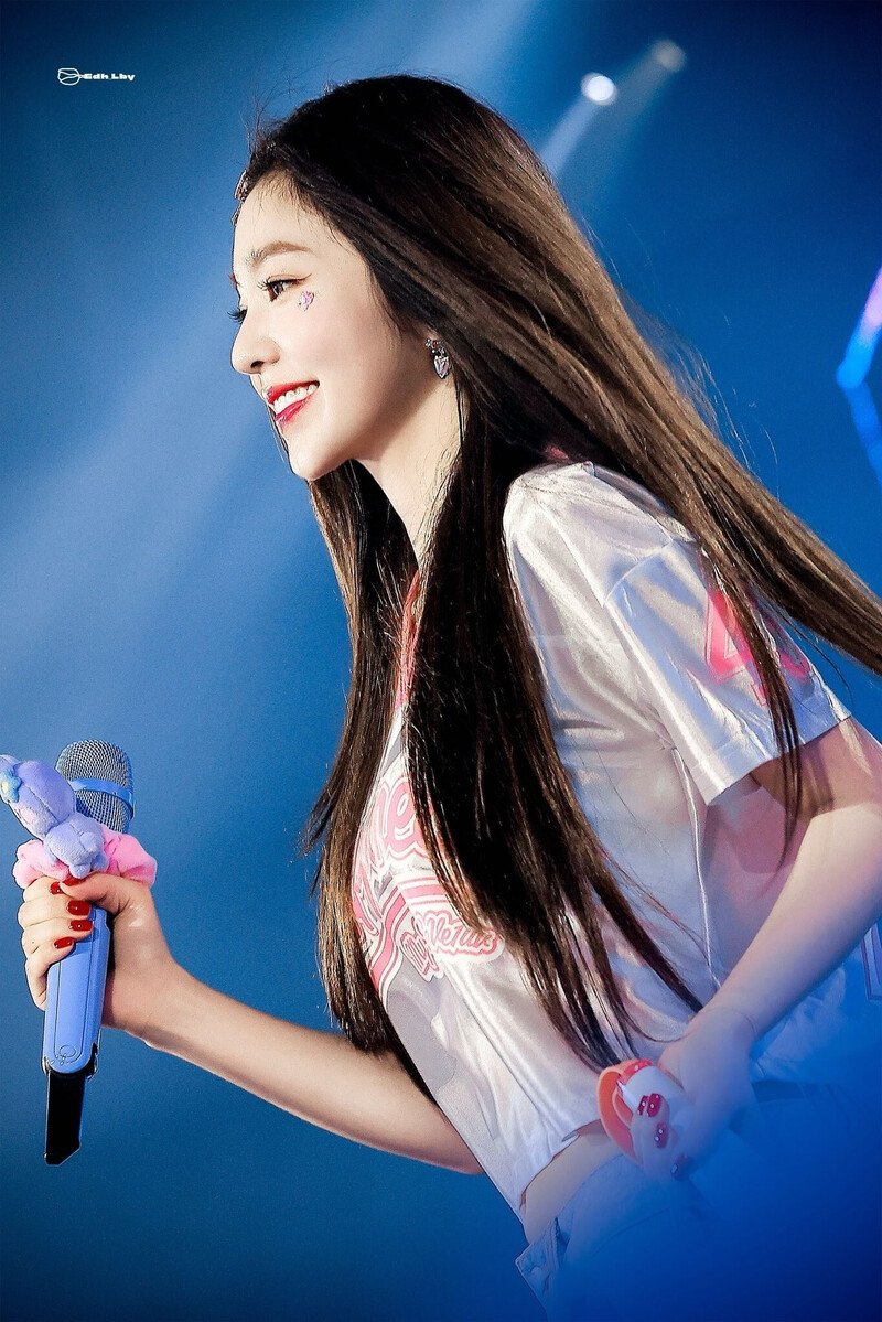 240802 Red Velvet Irene - Fan-Con Tour 'Happiness : My Dear, ReVe1uv' in Seoul Day 1 documents 3