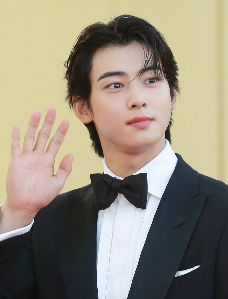 230719 Cha Eunwoo at the 2nd Blue Dragon Series Awards Red Carpet documents 2