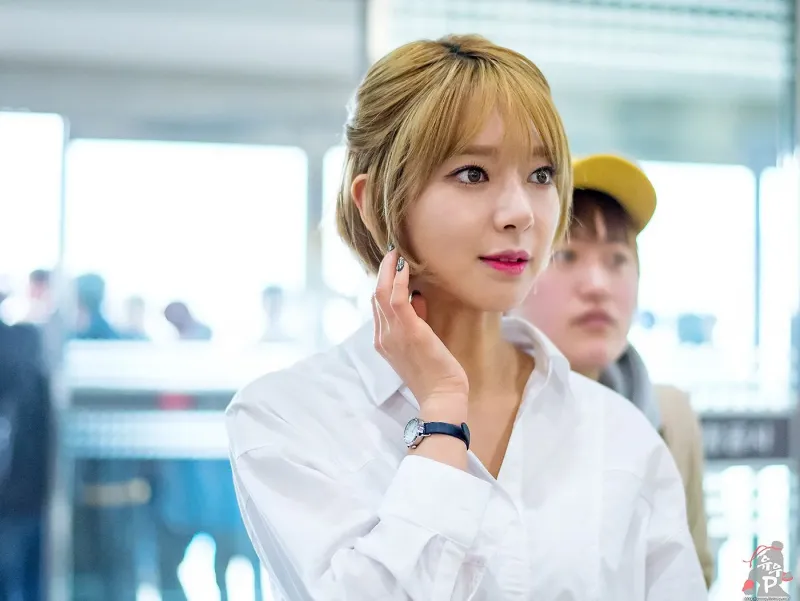 ChoA116.jpg