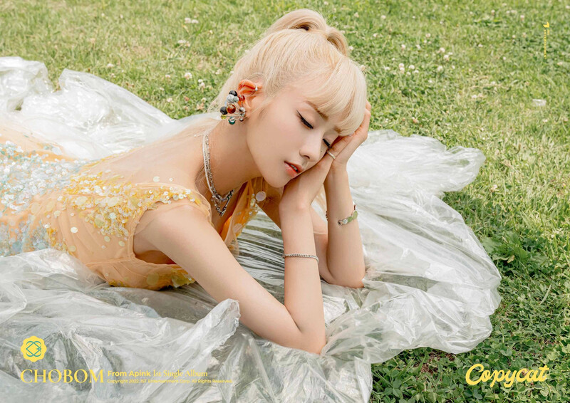 CHOBOM - Copycat 1st Single Album teasers documents 17