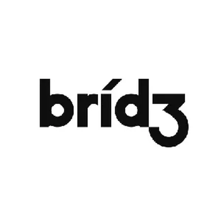 bridʒ (Bridge) groups & arists kpop profile (2024 updated) | kpopping