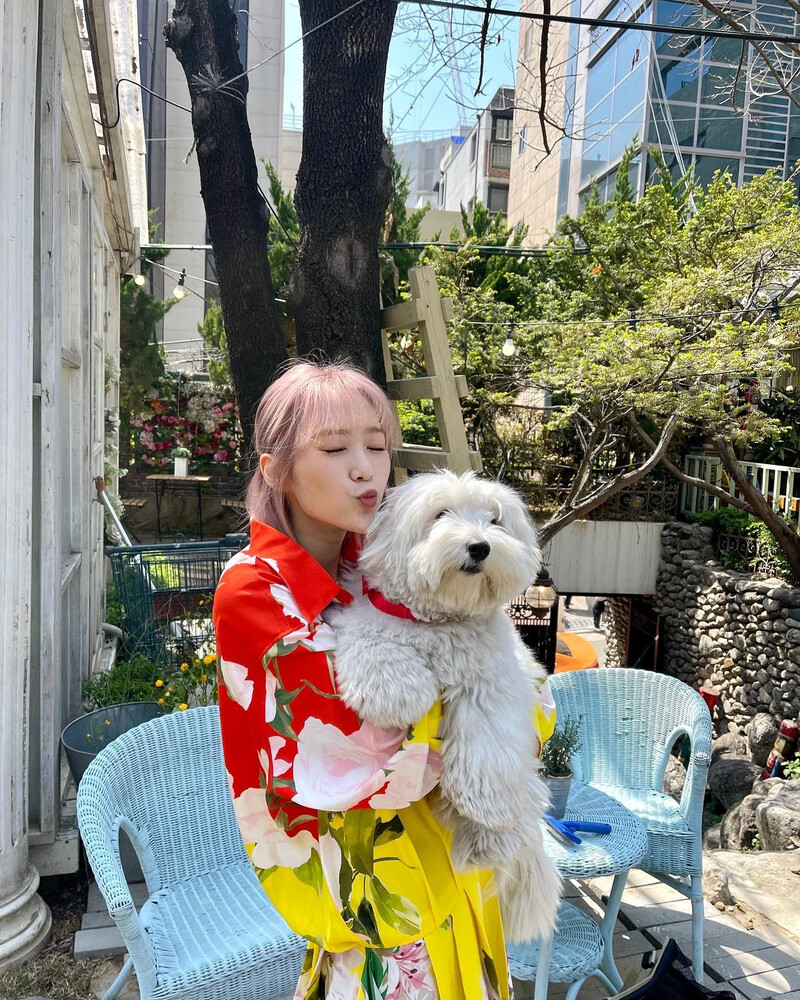 210422 OH MY GIRL Jiho Instagram Update documents 1