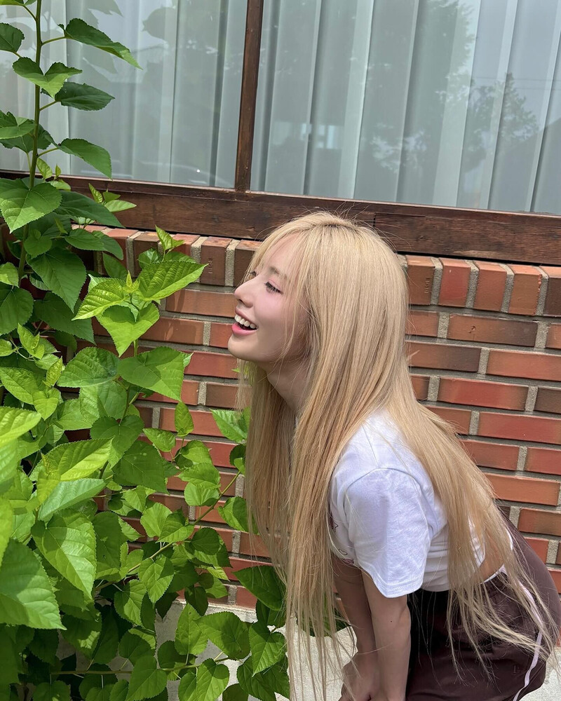 240810 fromis_9 Jiwon Instagram Update documents 4