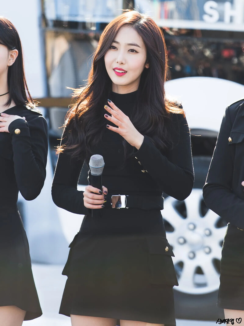 Sinb305.jpg