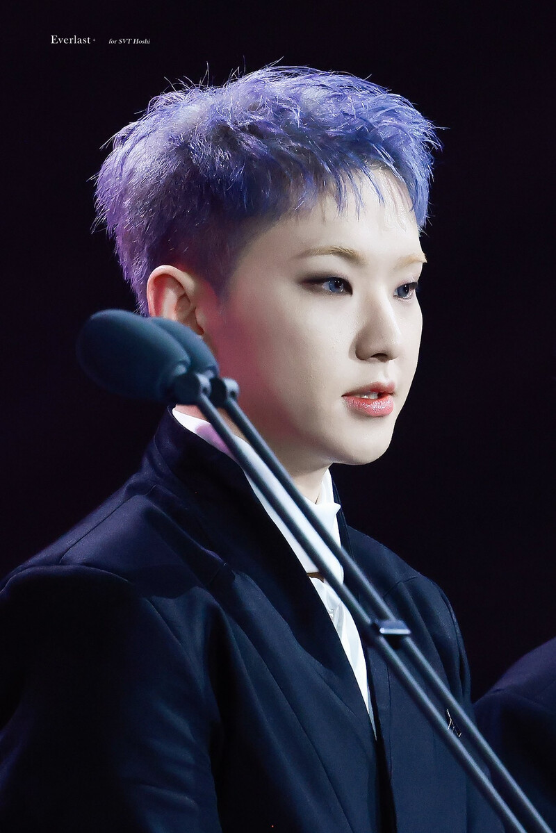 250105 SEVENTEEN Hoshi at Golden Disk Awards 2025 documents 1