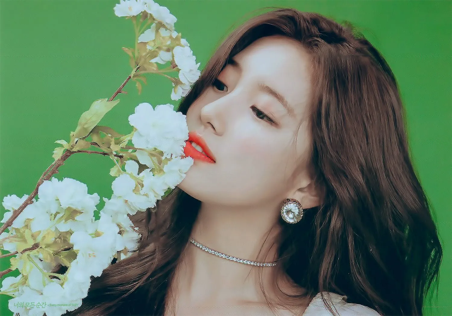 Suzy] 2019 Season Greetings Spring Scans | kpopping