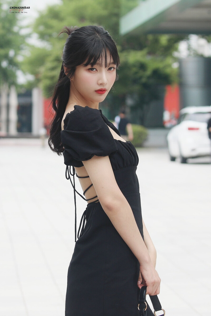 220706 Red Velvet Joy - 'Animal Farm' Commute documents 5