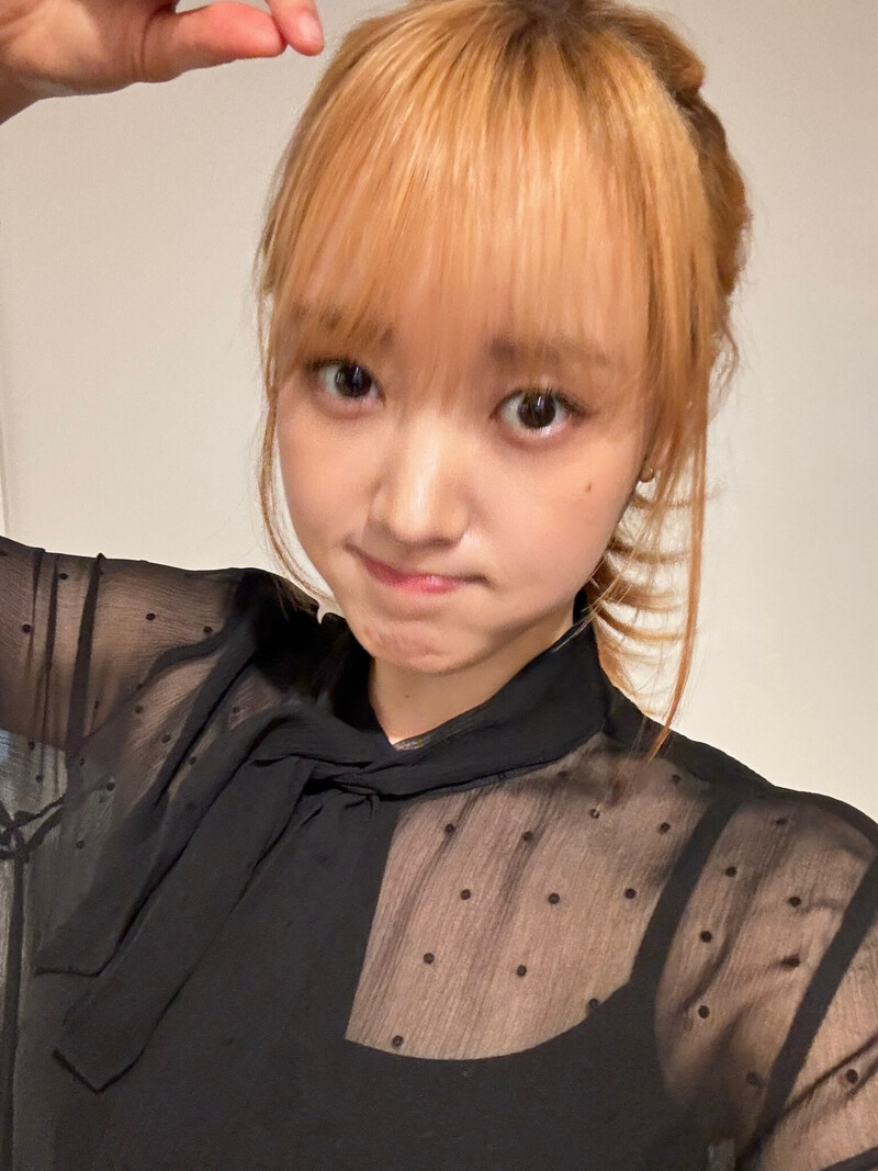 240417 Sei Twitter update documents 3