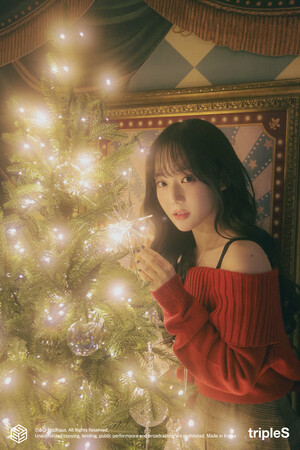 241217 MODHAUS Naver Post - SeoYeon Christmas Photos