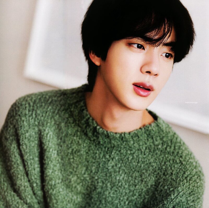 BTS [Jin] Global Official Fanclub 9th ARMY ZIP (SCANS) documents 4