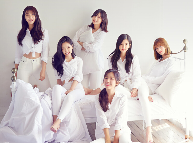 APINK 3rd Japanese Album "Pink Stories" concept teasers documents 1