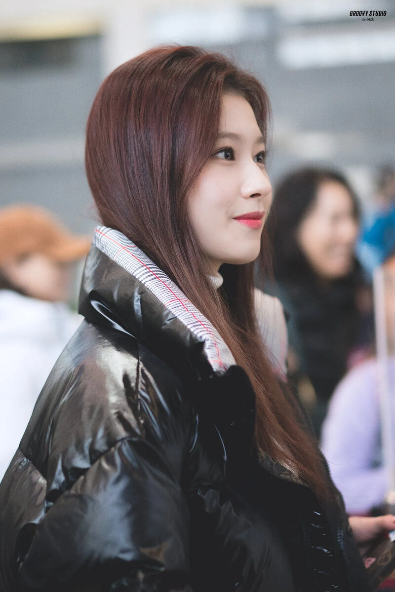 Sana2900.jpg