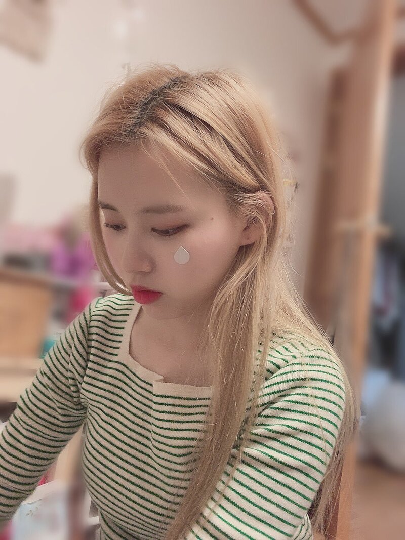 190719 Lucy Twitter updates documents 3