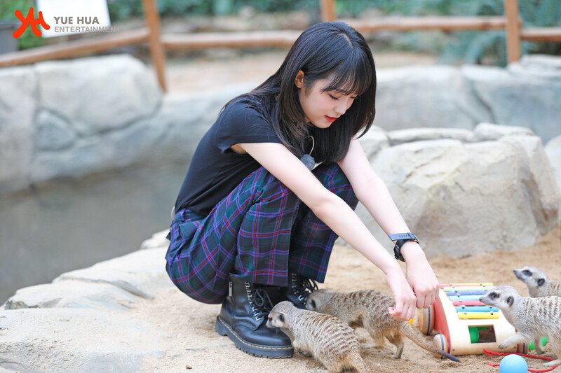 211028 Yuehua Naver Post - Yena & Sihyeon - Animal Detective Behind documents 1