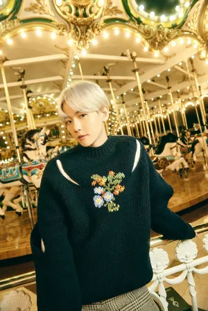 Baekhyun 'Amusement Park' Concept Teaser Images