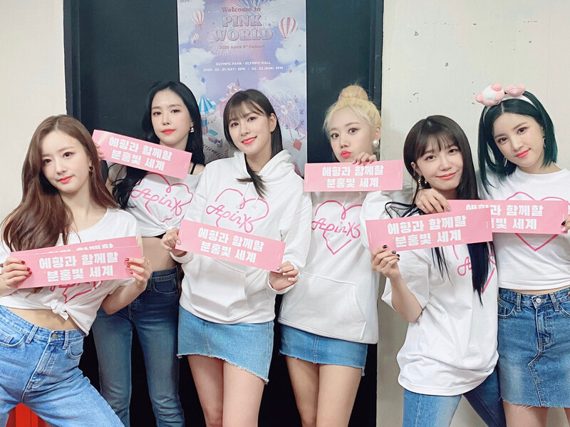 200201 APINK sns update - 'Welcome to PINK WORLD' concert Day 1 documents 3