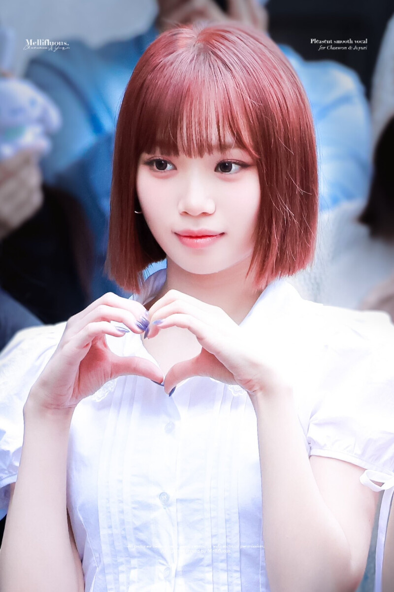 240906 LE SSERAFIM Chaewon - Music Bank Mini Fan Meeting & Commute documents 6