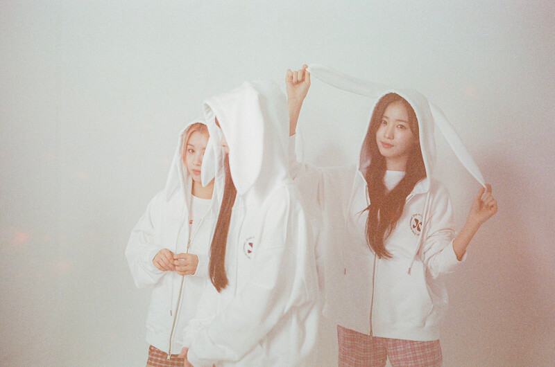 240403 WOOAH twitter update - Blush Concept photo behind documents 3