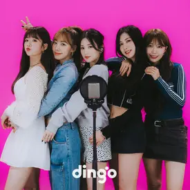 230407 Dingo twitter update with APINK - Killing voice