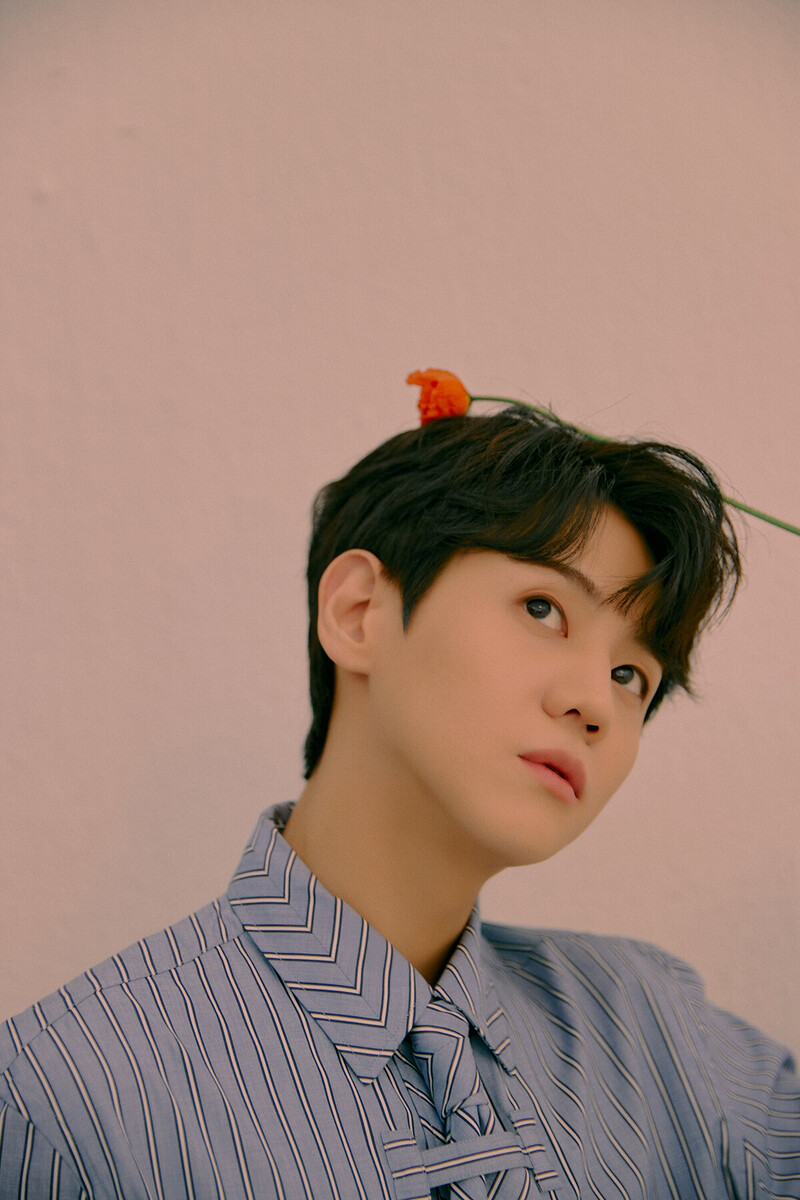 220321 - Highlight Daydream Concept Photos documents 6