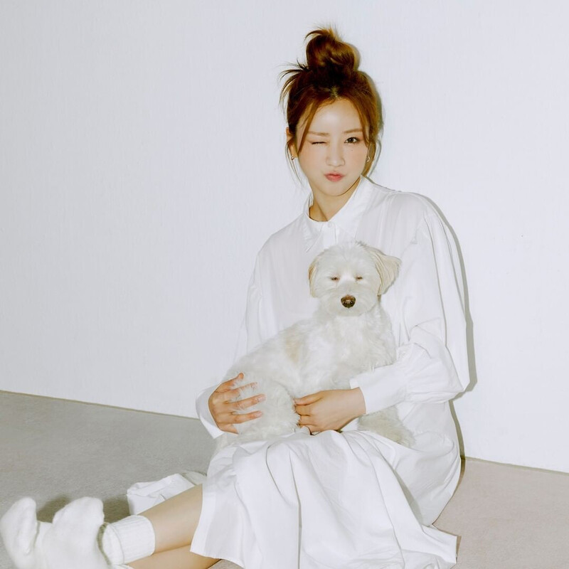 211124, 211202 Apink BOMI 2022 Season's Greetings 'OH MY WISHLIST' behind documents 3