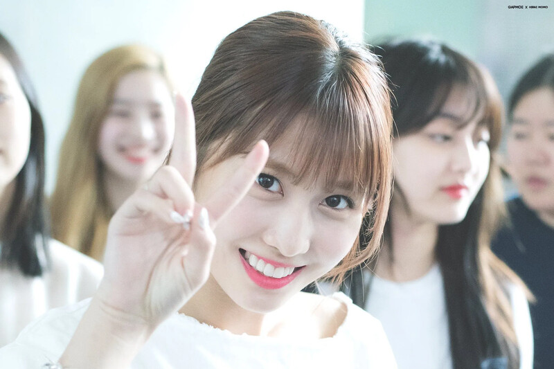 Momo1033.jpg