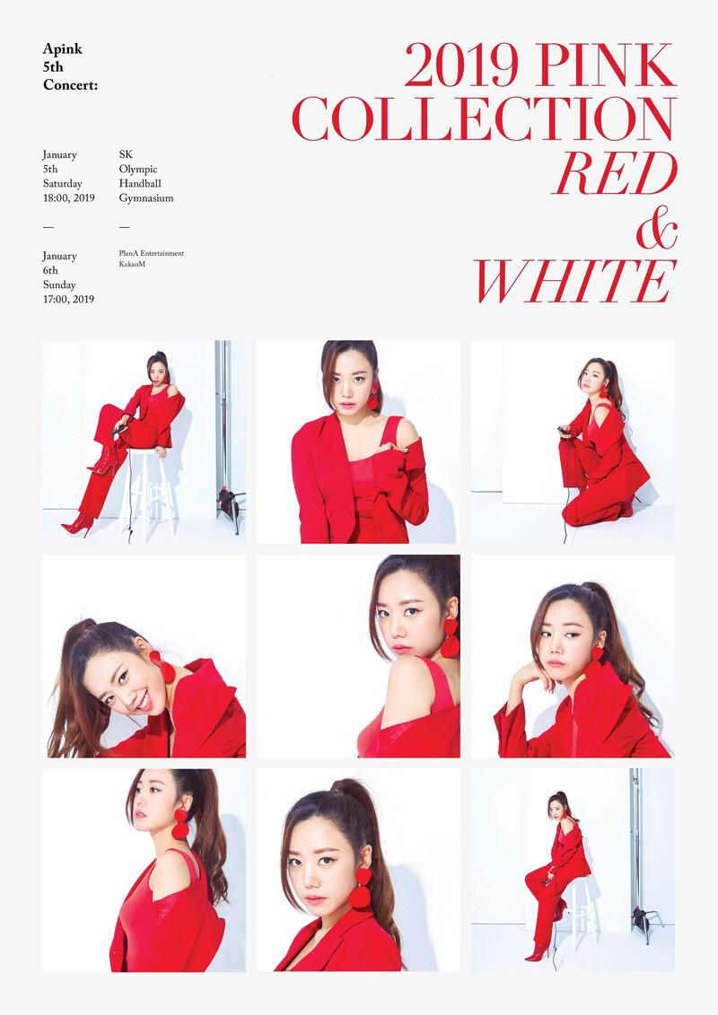 APINK 5th Concert - 2019 PINK COLLECTION : RED & WHITE - Posters & Behind documents 6