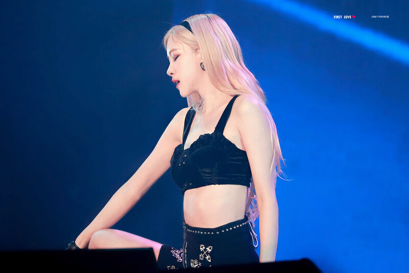 200105 BLACKPINK Rosé - 'In Your Area' World Tour in Osaka Day 2 documents 5