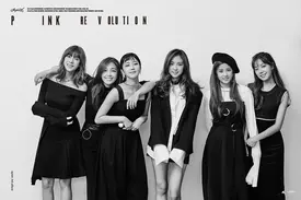 APINK 3rd Album "Pink Revolution" Concept Teaser pictures